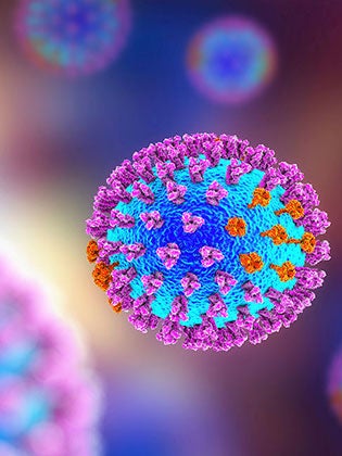 Virus